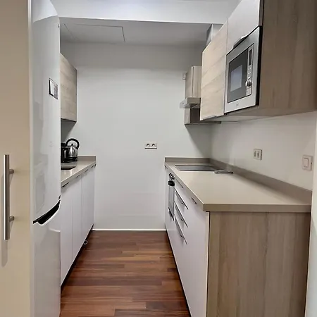 Homely Felix Saenz Deluxe 아파트 말라가
